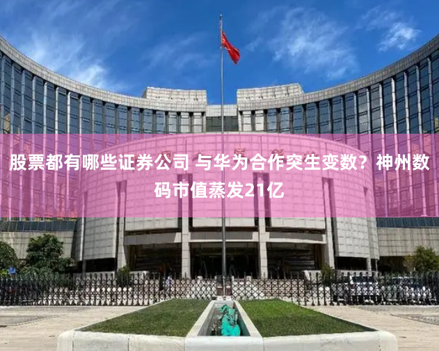 股票都有哪些证券公司 与华为合作突生变数？神州数码市值蒸发21亿