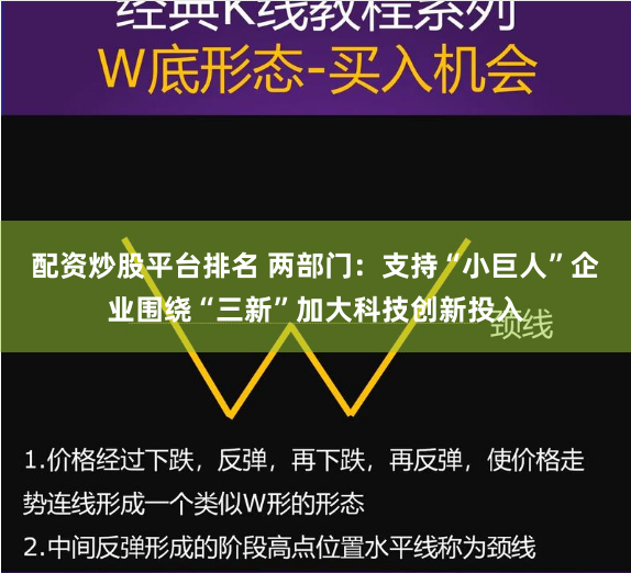 配资炒股平台排名 两部门：支持“小巨人”企业围绕“三新”加大科技创新投入